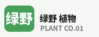 抖阴