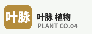 抖阴